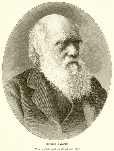 Charles Darwin de English School