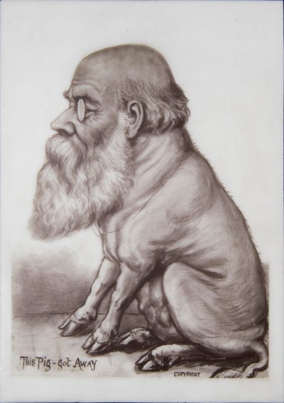 Placa de Charles Darwin, c.1870 (cerámica) de English School