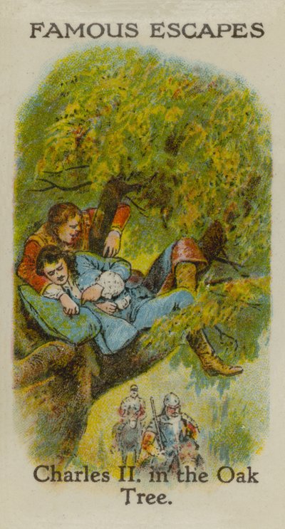 Carlos II, en el árbol de roble de English School