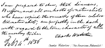 Charles Waterton (El Naturalista Americano) de English School
