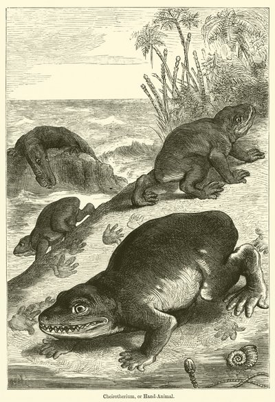 Cheirotherium, o animal de mano de English School
