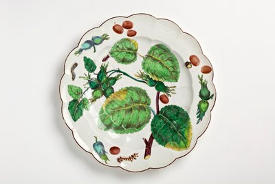 Plato de Chelsea decorado con ilustración botánica de nueces, insectos y hojas, 1755 de English School