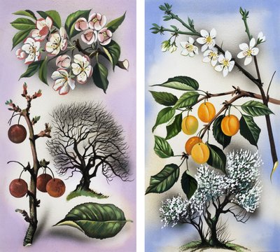 Cerezos y albaricoqueros de English School