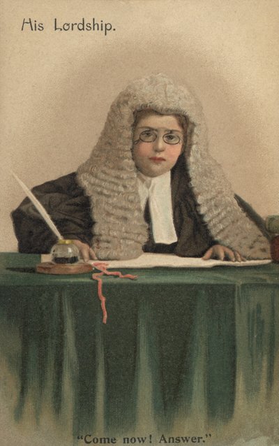 Niño vestido como juez de English School