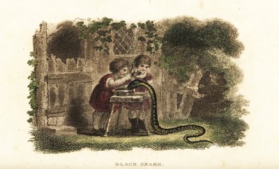 Niños usando cucharas para golpear la cabeza de una serpiente negra que bebe ávidamente de un platillo de leche de English School