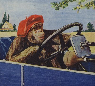 Chimpancé conduciendo un coche (litografía en color) de English School