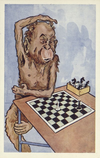 Chimpancé ponderando un movimiento de ajedrez de English School