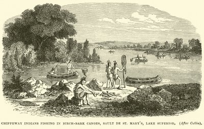 Indios Chippeway pescando en canoas de corteza de abedul, Sault de St Marys, Lago Superior de English School