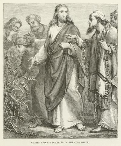 Cristo y sus discípulos en los campos de maíz de English School