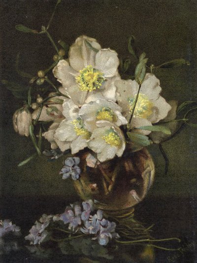 Rosas de Navidad de English School
