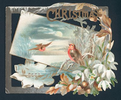 Tarjeta de Navidad con dos petirrojos de English School