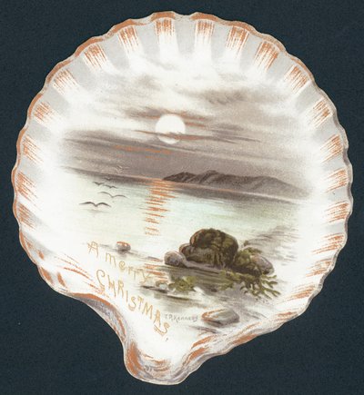 Concha con imagen del océano de English School