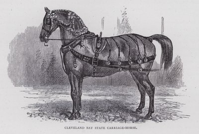 Caballo de carruaje Cleveland Bay (grabado) de English School