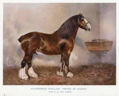 Semental Clydesdale "Príncipe de Albion" de English School