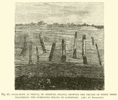 Mina de carbón en Treuil, St Etienne, Francia, mostrando los troncos de árboles fósiles atravesando las capas superpuestas de arenisca de English School