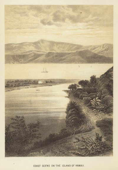 Escena costera en la isla de Hawái de English School