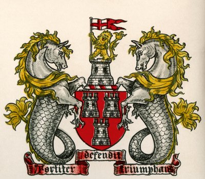 Escudo de Newcastle-on-Tyne, Inglaterra de English School