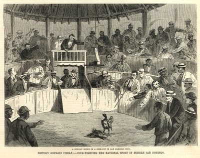 Pelea de gallos, el deporte nacional del moderno San Domingo de English School