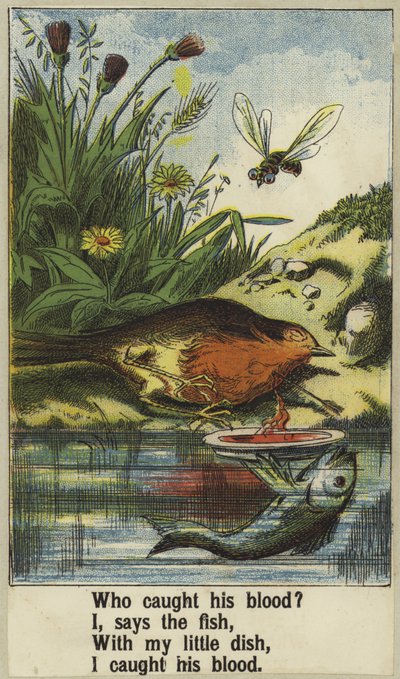 Cock Robin de English School