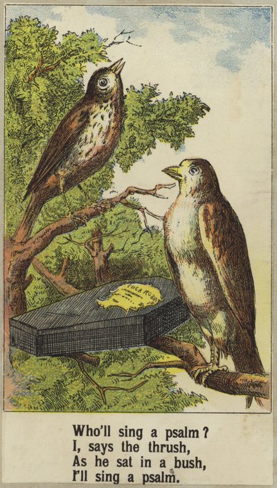 Cock Robin de English School
