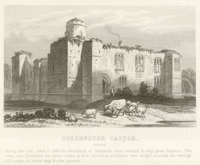 Castillo de Colchester, Essex de English School