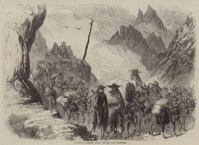 Transportando vinos españoles a través de los Pirineos de English School