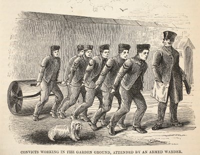 Convictos trabajando en el jardín, atendidos por un celador armado, ilustración de Las prisiones criminales de Londres y escenas de la vida en prisión de Henry Mayhew y John Binny, pub. 1862 de English School