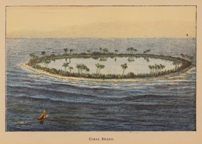 Coral Island (litografía en color) de English School