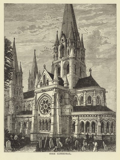 Catedral de Cork de English School