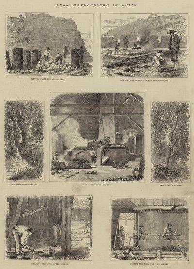 Fabricación de Corcho en España de English School