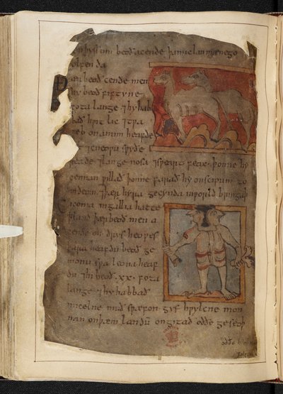 Algodón MS Vitellius A XV f.101v, Beowulf, del 