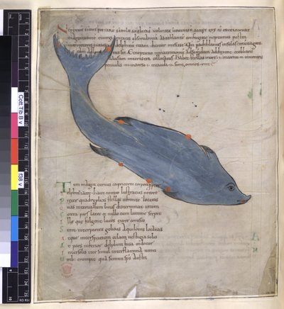 Cotton Tiberius B. V, Parte I fol.38v La constelación de Delphinus de 