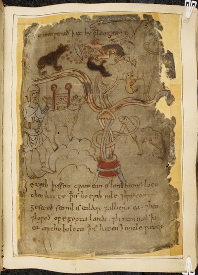 Cotton Vitellius A. XV, f.101r, Tres hormigas parecidas a perros atacando a un camello atado, hombre con túnica, ilustración de Beowulf, del 