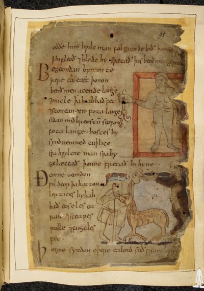 Cotton Vitellius A. XV, f.102, Un hombre desnudo sosteniendo una planta; dos hombres hablando, y entre ellos un lertix, una bestia parecida a una oveja, ilustración de Beowulf, del 