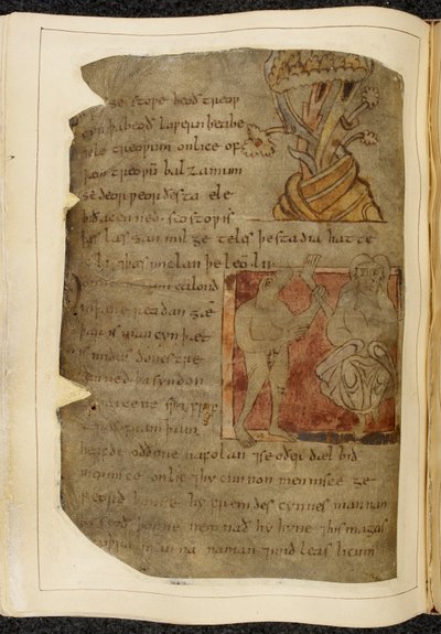 Cotton Vitellius A. XV f.103v, Un árbol del que crece el bálsamo; un donestre, un hombre con cabeza de bestia, a la izquierda sosteniendo una pierna y un pie humanos, y una persona a la derecha, ilustración de Beowulf, del 