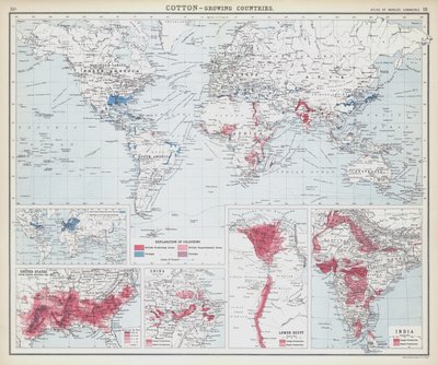 Algodón, países productores (litografía en color) de English School