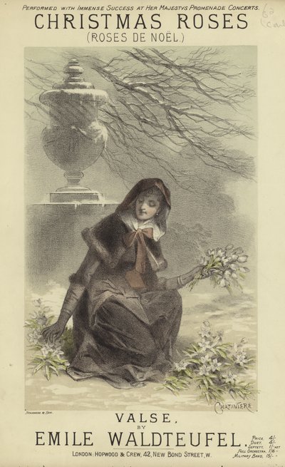 Portada de Rosas de Navidad de English School