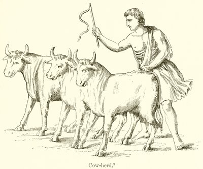 Pastor de Vacas de English School