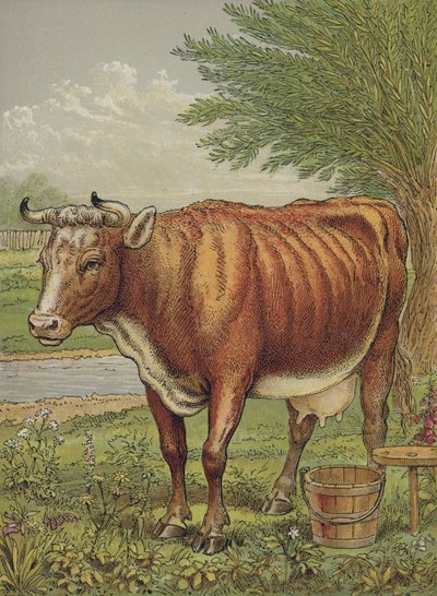 Vaca de English School
