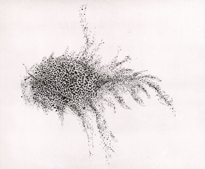 Nebulosa del Cangrejo" por William Parsons, de "Observations on some of the Nebulae" de "Philosophical Transactions of the Royal Society". de English School