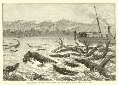 Cocodrilos en el río Shire, vistos desde el vapor Pioneer de English School