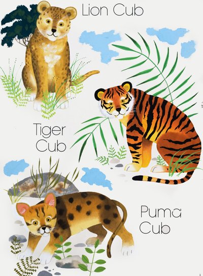 Cachorros de grandes felinos de English School