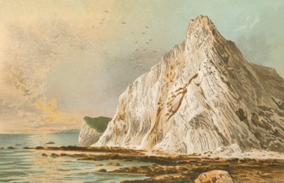 Acantilado Culver - Isla de Wight de English School