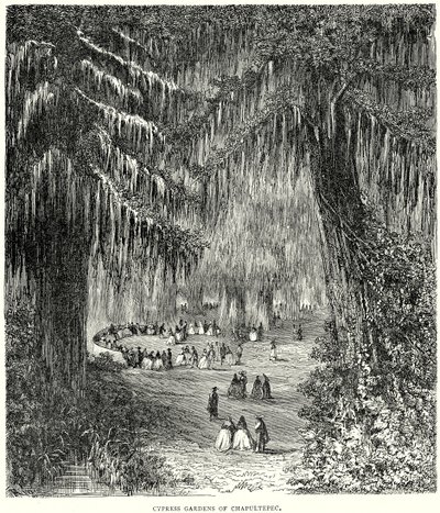 Jardines de Cipreses de Chapultepec (grabado) de English School