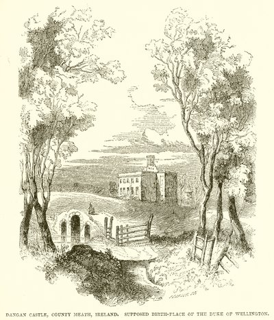 Castillo de Dangan, Condado de Meath, Irlanda. Supuesto lugar de nacimiento del Duque de Wellington de English School