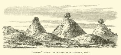 Túmulos daneses cerca de Ashdown, Essex de English School