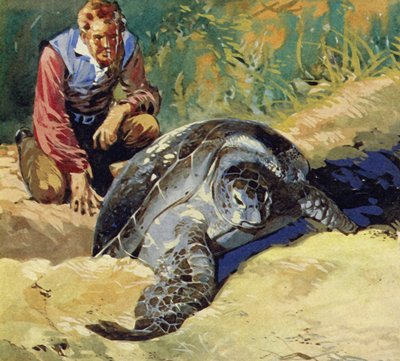 Darwin se preguntaba por qué las tortugas gigantes de las Islas Galápagos diferían en cada isla de English School
