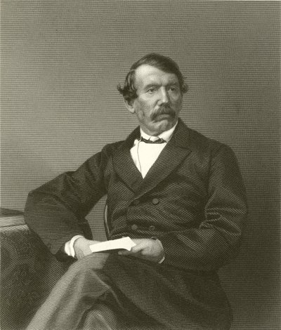 David Livingstone de English School