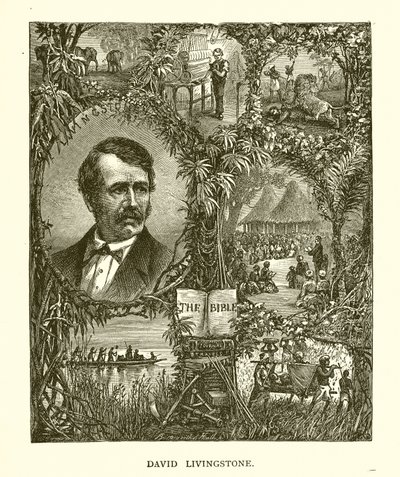 David Livingstone de English School