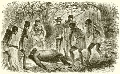 Muerte del primer gorila de Du Chaillu de English School